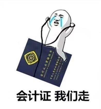 會(huì)計(jì)從業(yè)