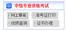 中級會計(jì)職稱