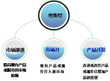 高級會計實務(wù)