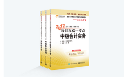 中級(jí)會(huì)計(jì)輔導(dǎo)書(shū)