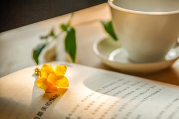 高級(jí)會(huì)計(jì)師考試時(shí)間