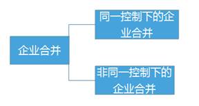 2018高級(jí)會(huì)計(jì)實(shí)務(wù)預(yù)習(xí)知識(shí)：企業(yè)合并界定