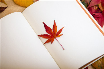 東奧注冊(cè)會(huì)計(jì)師《輕松過(guò)關(guān)4》輔導(dǎo)書(shū)怎么樣