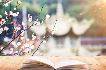 中級(jí)會(huì)計(jì)報(bào)名