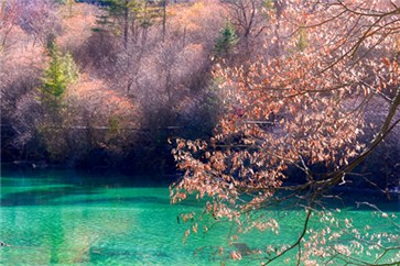 2018年中國注冊會計(jì)師考試時(shí)間，有補(bǔ)報(bào)名入口嗎？