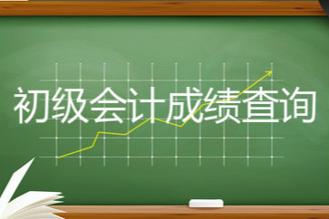 上海2019年初級會計考試成績查詢?nèi)肟谑鞘裁矗? alt=