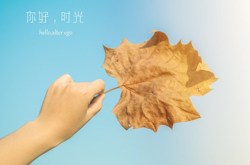 如何輕松記憶注冊會(huì)計(jì)師考試中的繁雜知識點(diǎn)？