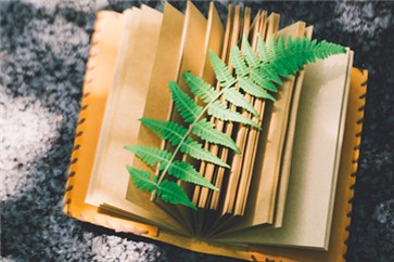 注冊(cè)會(huì)計(jì)師通過率怎么樣？對(duì)于求職有幫助嗎？