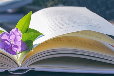 河南省注冊會計師考試時間？各類題型有什么答題技巧？