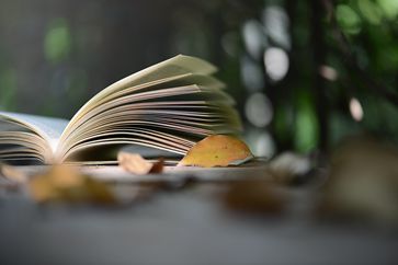 稅務師考試什么時候進行