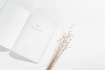 《稅務(wù)檢查證管理辦法》發(fā)布，明年1月1日起實(shí)施