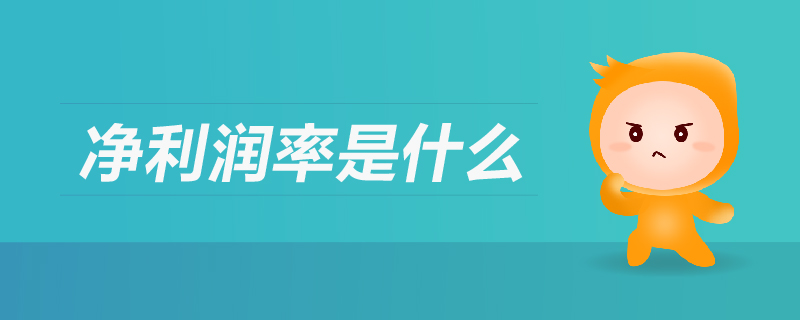 凈利潤(rùn)率是什么