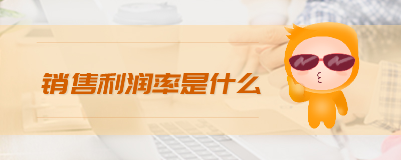 銷售利潤(rùn)率是什么