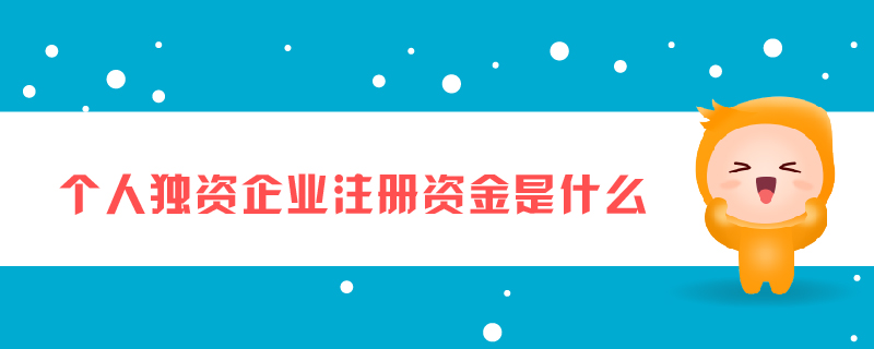 個(gè)人獨(dú)資企業(yè)注冊(cè)資金是什么