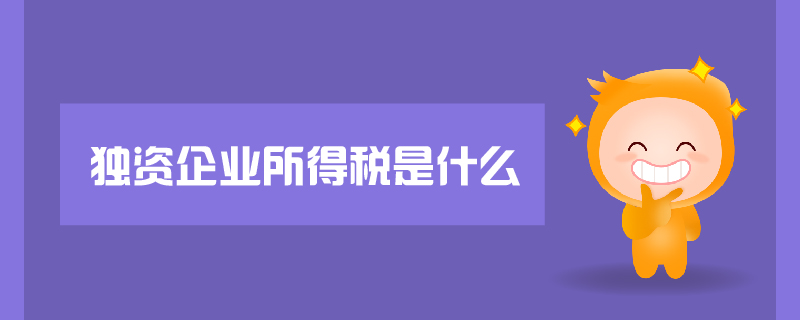 獨資企業(yè)所得稅