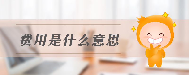 費(fèi)用是什么意思