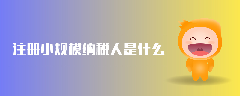 注冊小規(guī)模納稅人是什么