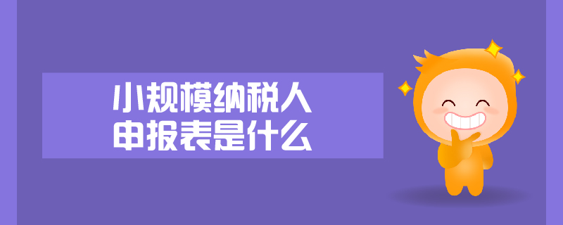 小規(guī)模納稅人申報表是什么