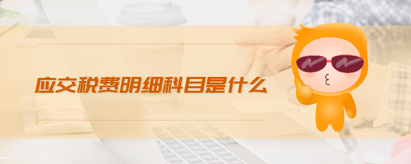 應(yīng)交稅費明細(xì)科目是什么