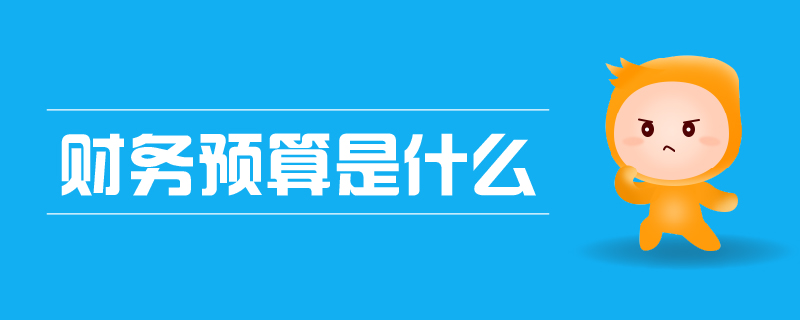 財務(wù)預(yù)算是什么