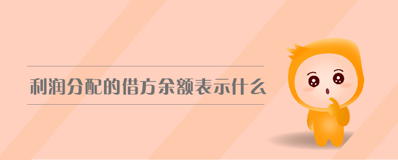 利潤分配的借方余額表示什么