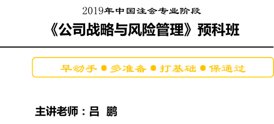 公司戰(zhàn)略與風(fēng)險(xiǎn)管理