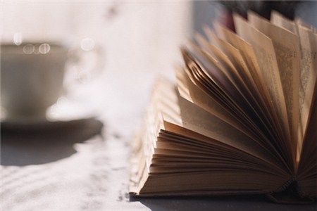 2019年全國(guó)注冊(cè)會(huì)計(jì)師網(wǎng)上報(bào)名流程及報(bào)名入口