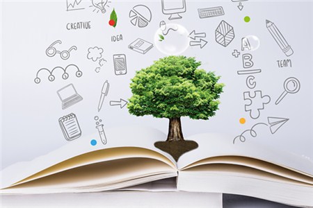 2019年注冊會計師考試網(wǎng)上報名條件是什么？
