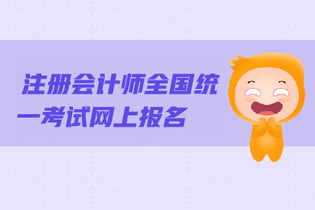注冊(cè)會(huì)計(jì)師全國(guó)統(tǒng)一考試網(wǎng)上報(bào)名系統(tǒng)是什么？