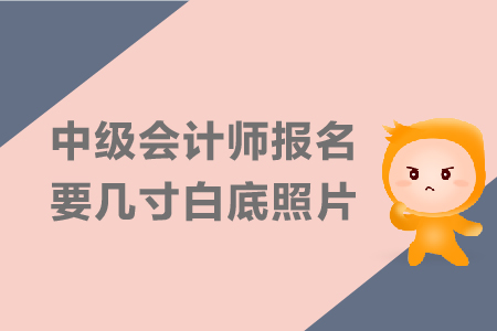 中級(jí)會(huì)計(jì)師報(bào)名要幾寸白底照片？
