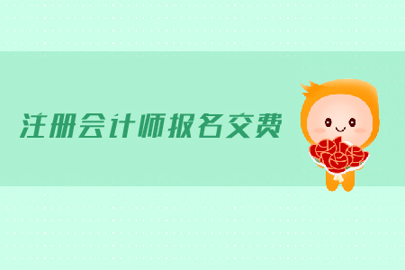 注冊(cè)會(huì)計(jì)師報(bào)名交費(fèi)需要多少錢？貴不貴？