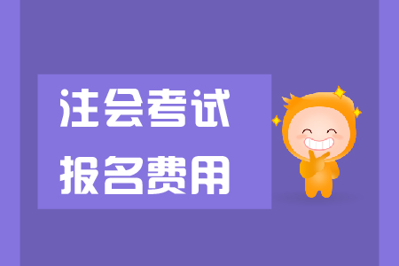 2019年注冊會計師報名補(bǔ)繳報名費可以嗎？