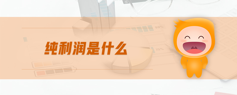 純利潤是什么