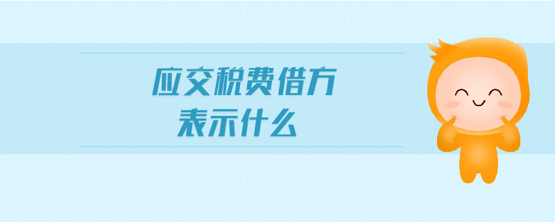 應(yīng)交稅費借方表示什么