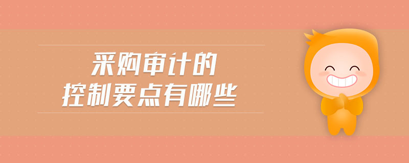 采購審計的控制要點有哪些
