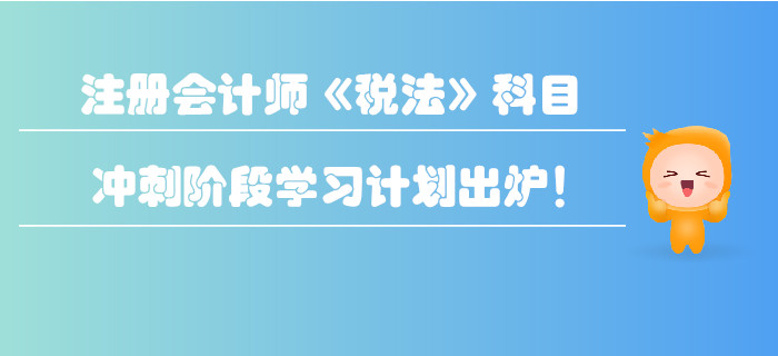 2019年注冊會計師《稅法》科目沖刺階段學(xué)習(xí)計劃