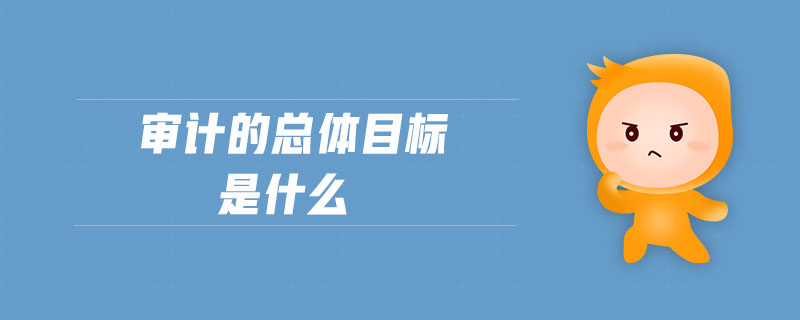 審計的總體目標(biāo)是什么