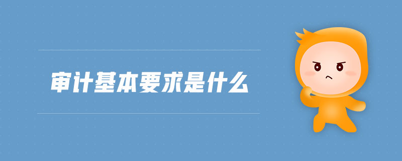 審計(jì)基本要求是什么