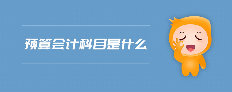 預(yù)算會(huì)計(jì)科目是什么