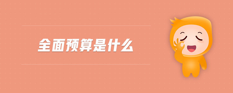 全面預(yù)算是什么