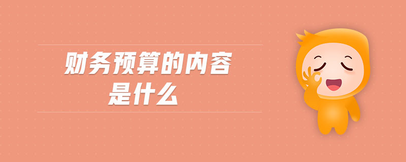 財務預算的內容是什么