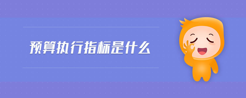 預算執(zhí)行指標是什么