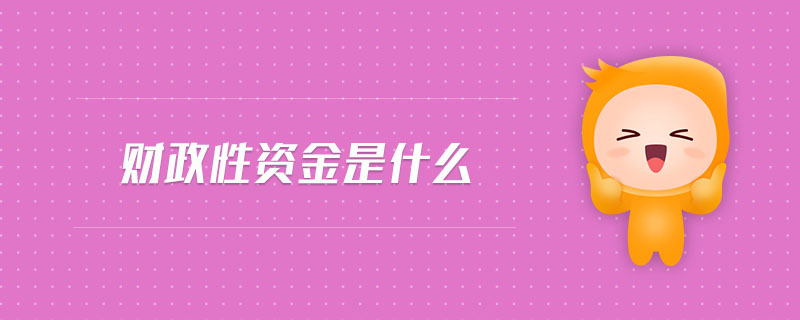 財(cái)政性資金是什么