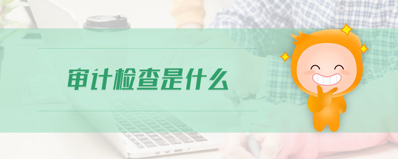 審計(jì)檢查是什么