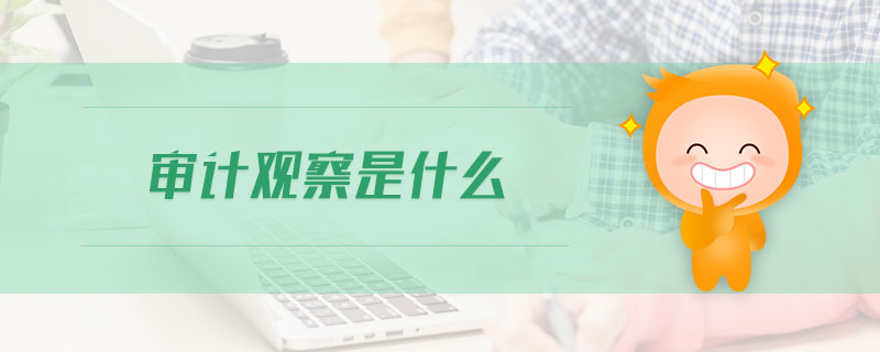 審計觀察是什么