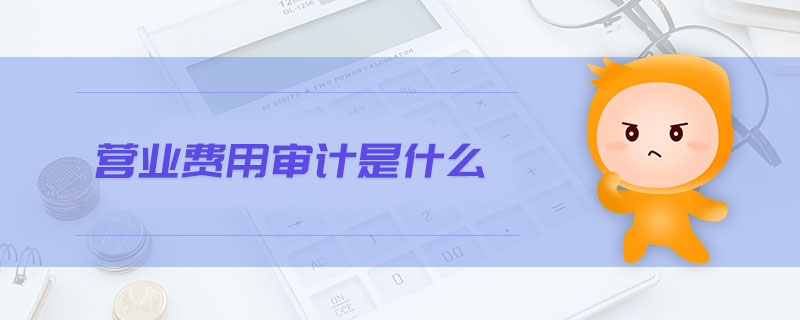 營業(yè)費(fèi)用審計(jì)是什么