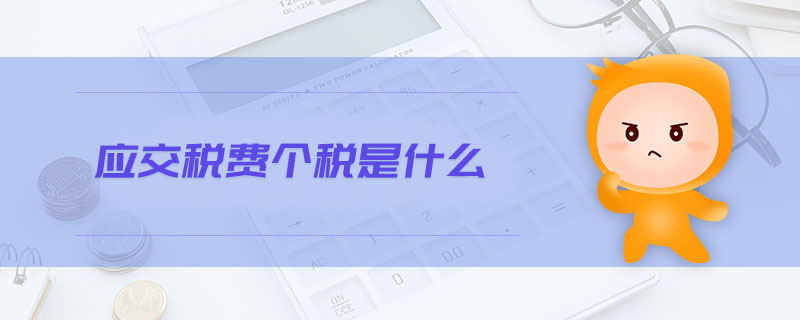應(yīng)交稅費個稅是什么