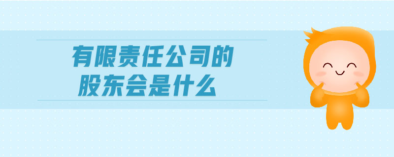有限責任公司的股東會是什么