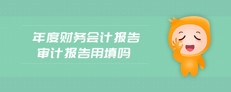 年度財(cái)務(wù)會計(jì)報(bào)告審計(jì)報(bào)告用填嗎