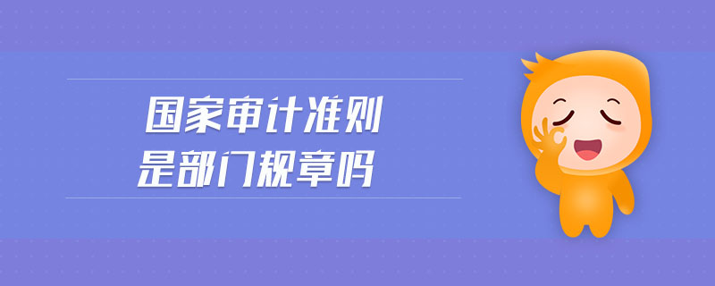 國家審計準(zhǔn)則是部門規(guī)章嗎